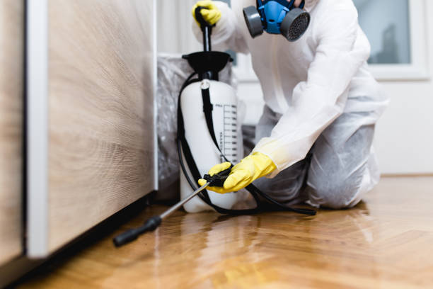 Best Emergency Pest Control  in El Granada, CA