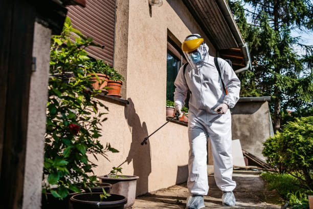 Best Best Pest Control Near Me  in El Granada, CA