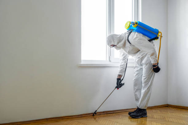 Trusted El Granada, CA Pest Control Experts