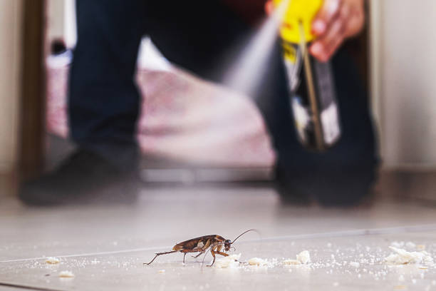 Best Cockroach Control Services  in El Granada, CA