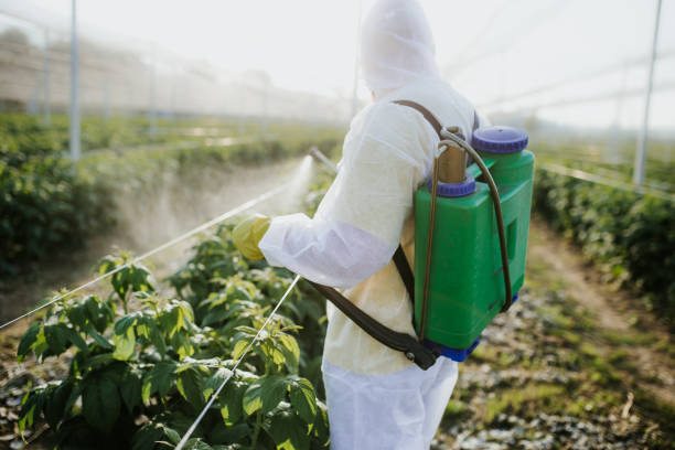 Best Exterminator Services  in El Granada, CA